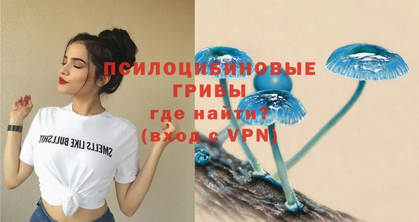 Альфа ПВП Абинск