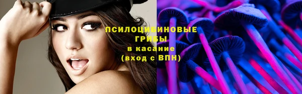 дживик Алексеевка