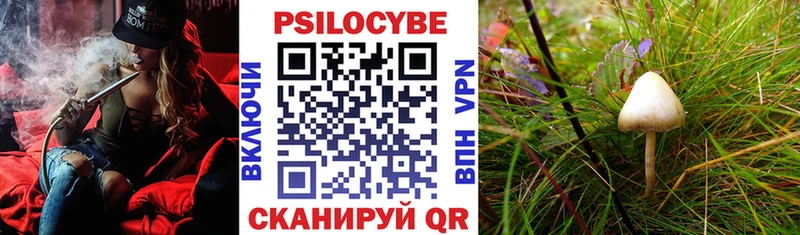 закладки  Кашира  Галлюциногенные грибы прущие грибы 