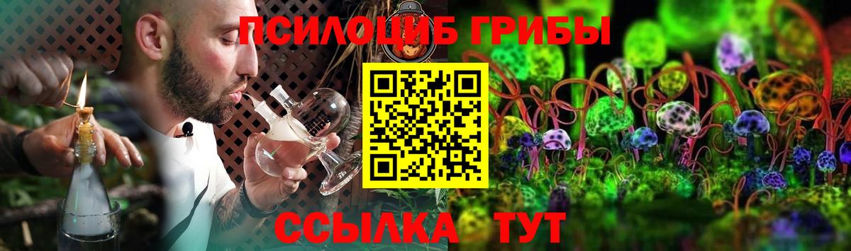 Галлюциногенные грибы Cubensis Кашира