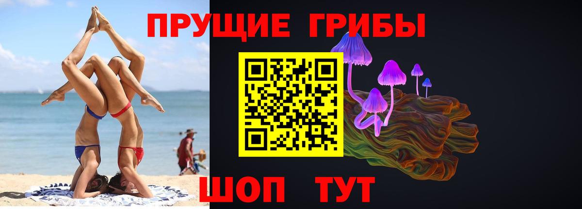 Кашира  Галлюциногенные грибы GOLDEN TEACHER  Вход с VPN 